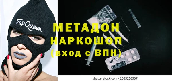 шишки Медвежьегорск
