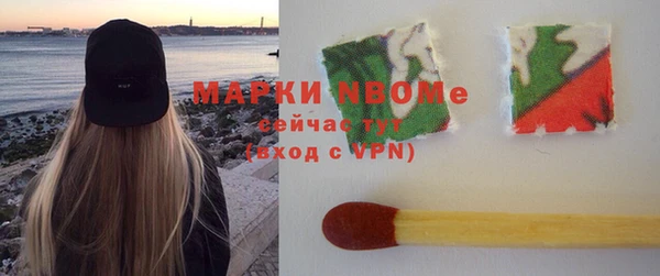 шишки Медвежьегорск