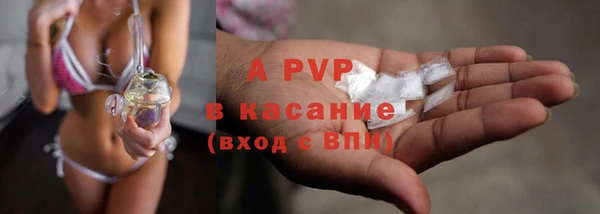 шишки Медвежьегорск