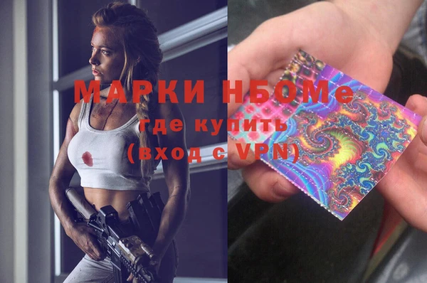 шишки Медвежьегорск