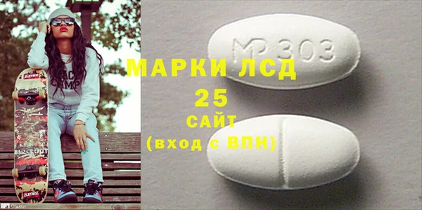 шишки Медвежьегорск