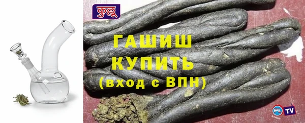 шишки Медвежьегорск