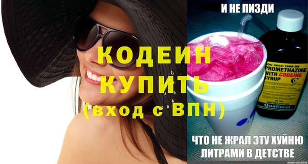 шишки Медвежьегорск