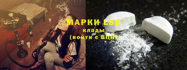 шишки Медвежьегорск