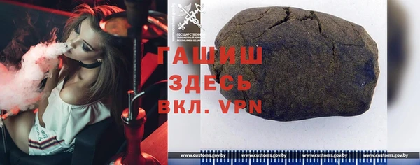шишки Медвежьегорск